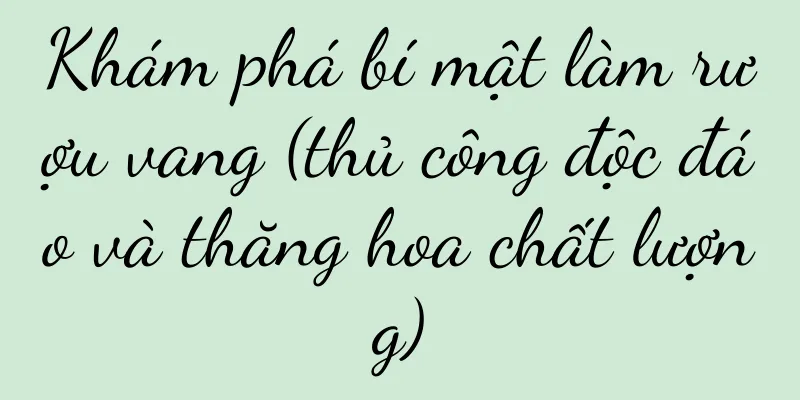 Khám phá bí mật làm rượu vang (thủ công độc đáo và thăng hoa chất lượng)