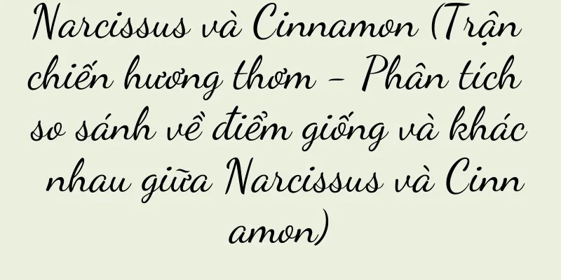 Narcissus và Cinnamon (Trận chiến hương thơm - Phân tích so sánh về điểm giống và khác nhau giữa Narcissus và Cinnamon)