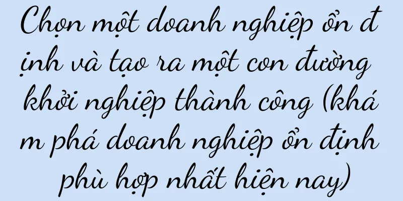 Chọn một doanh nghiệp ổn định và tạo ra một con đường khởi nghiệp thành công (khám phá doanh nghiệp ổn định phù hợp nhất hiện nay)