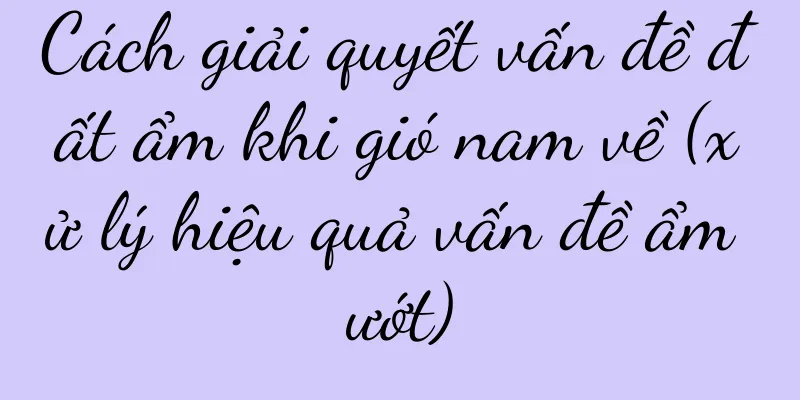 Cách giải quyết vấn đề đất ẩm khi gió nam về (xử lý hiệu quả vấn đề ẩm ướt)