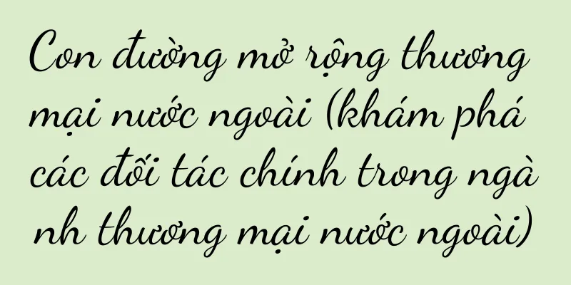 Con đường mở rộng thương mại nước ngoài (khám phá các đối tác chính trong ngành thương mại nước ngoài)