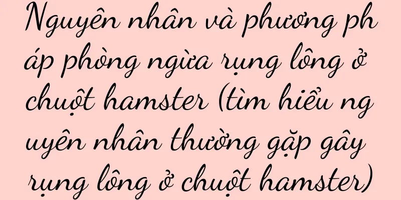Nguyên nhân và phương pháp phòng ngừa rụng lông ở chuột hamster (tìm hiểu nguyên nhân thường gặp gây rụng lông ở chuột hamster)