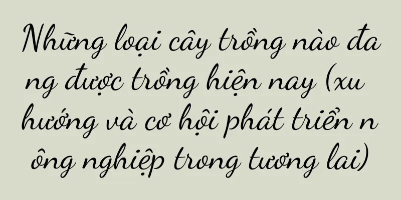 Những loại cây trồng nào đang được trồng hiện nay (xu hướng và cơ hội phát triển nông nghiệp trong tương lai)