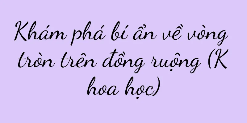 Khám phá bí ẩn về vòng tròn trên đồng ruộng (Khoa học)