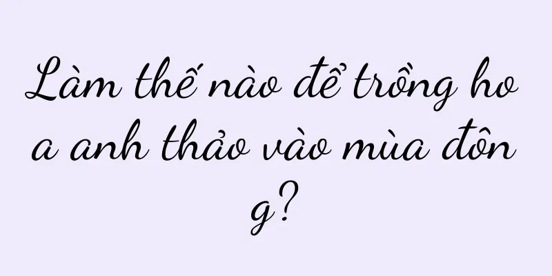 Làm thế nào để trồng hoa anh thảo vào mùa đông?