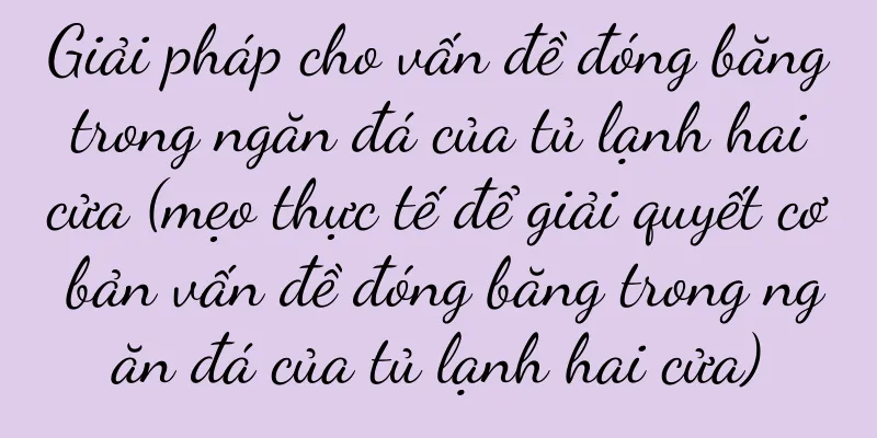 Giải pháp cho vấn đề đóng băng trong ngăn đá của tủ lạnh hai cửa (mẹo thực tế để giải quyết cơ bản vấn đề đóng băng trong ngăn đá của tủ lạnh hai cửa)