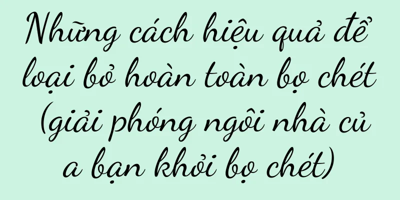 Những cách hiệu quả để loại bỏ hoàn toàn bọ chét (giải phóng ngôi nhà của bạn khỏi bọ chét)