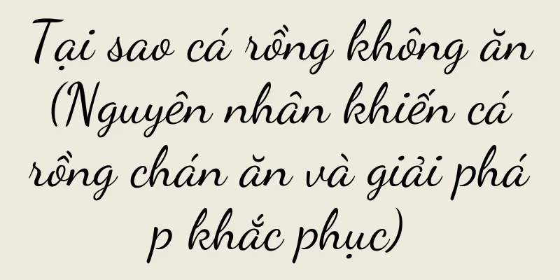 Tại sao cá rồng không ăn (Nguyên nhân khiến cá rồng chán ăn và giải pháp khắc phục)