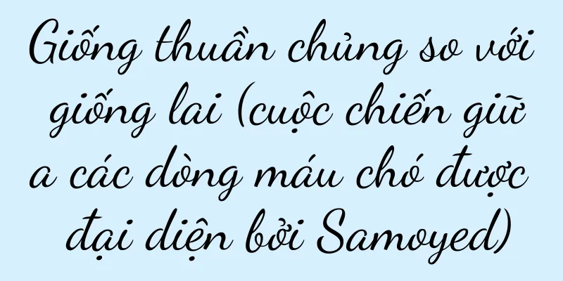 Giống thuần chủng so với giống lai (cuộc chiến giữa các dòng máu chó được đại diện bởi Samoyed)