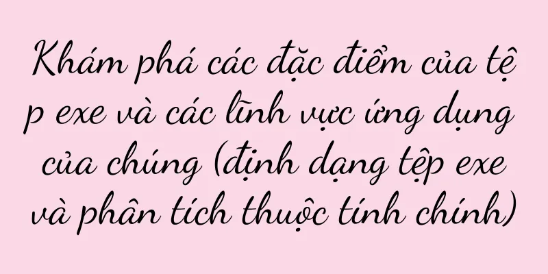 Khám phá các đặc điểm của tệp exe và các lĩnh vực ứng dụng của chúng (định dạng tệp exe và phân tích thuộc tính chính)