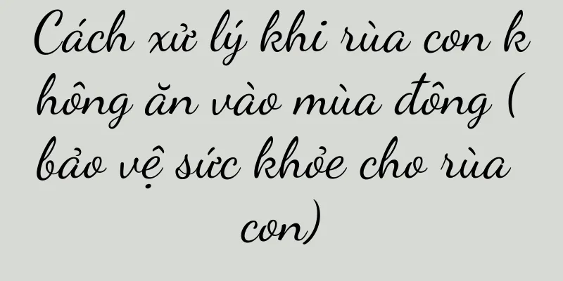 Cách xử lý khi rùa con không ăn vào mùa đông (bảo vệ sức khỏe cho rùa con)