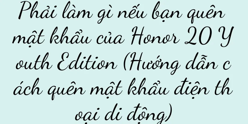 Phải làm gì nếu bạn quên mật khẩu của Honor 20 Youth Edition (Hướng dẫn cách quên mật khẩu điện thoại di động)