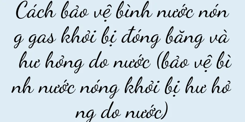 Cách bảo vệ bình nước nóng gas khỏi bị đóng băng và hư hỏng do nước (bảo vệ bình nước nóng khỏi bị hư hỏng do nước)