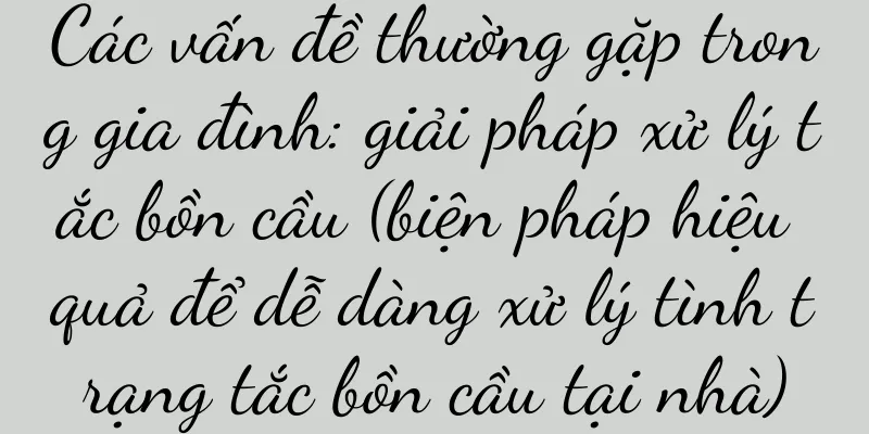 Các vấn đề thường gặp trong gia đình: giải pháp xử lý tắc bồn cầu (biện pháp hiệu quả để dễ dàng xử lý tình trạng tắc bồn cầu tại nhà)