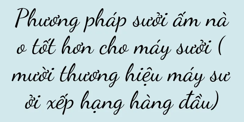 Phương pháp sưởi ấm nào tốt hơn cho máy sưởi (mười thương hiệu máy sưởi xếp hạng hàng đầu)