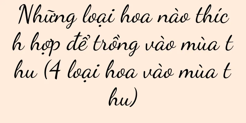 Những loại hoa nào thích hợp để trồng vào mùa thu (4 loại hoa vào mùa thu)
