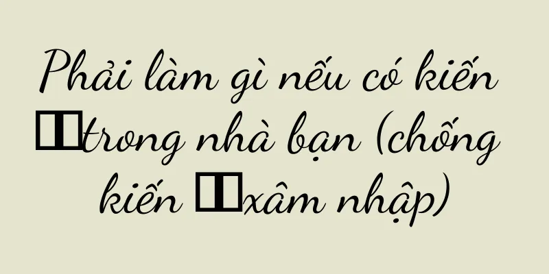 Phải làm gì nếu có kiến ​​trong nhà bạn (chống kiến ​​xâm nhập)
