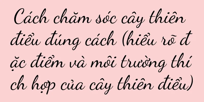 Cách chăm sóc cây thiên điểu đúng cách (hiểu rõ đặc điểm và môi trường thích hợp của cây thiên điểu)