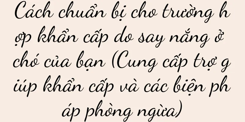 Cách chuẩn bị cho trường hợp khẩn cấp do say nắng ở chó của bạn (Cung cấp trợ giúp khẩn cấp và các biện pháp phòng ngừa)