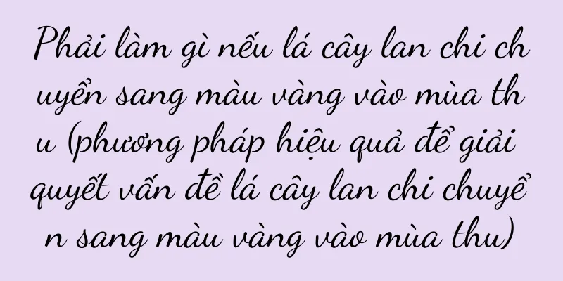 Phải làm gì nếu lá cây lan chi chuyển sang màu vàng vào mùa thu (phương pháp hiệu quả để giải quyết vấn đề lá cây lan chi chuyển sang màu vàng vào mùa thu)