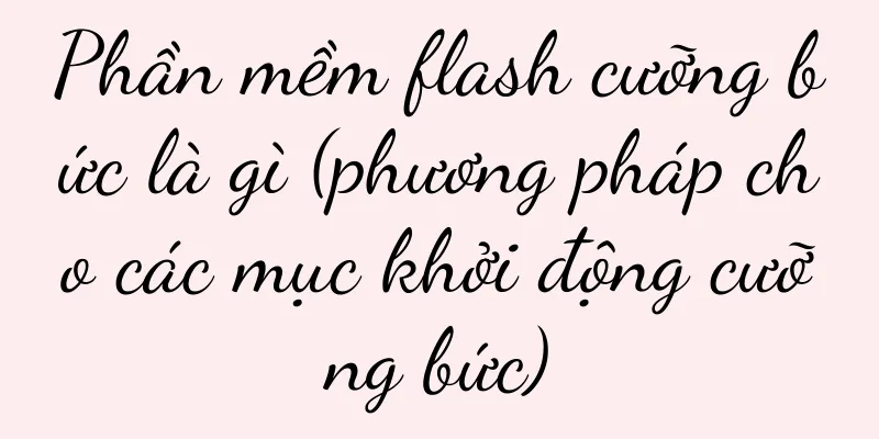Phần mềm flash cưỡng bức là gì (phương pháp cho các mục khởi động cưỡng bức)