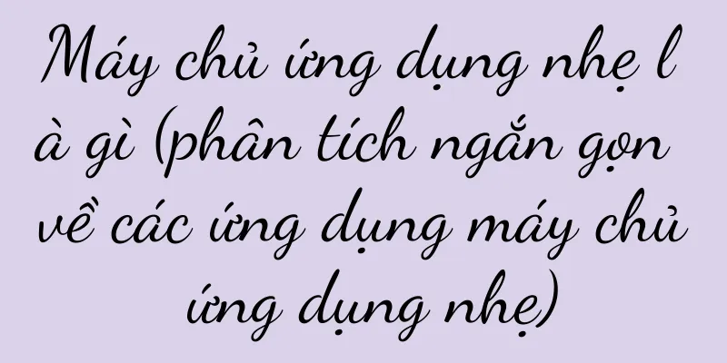 Máy chủ ứng dụng nhẹ là gì (phân tích ngắn gọn về các ứng dụng máy chủ ứng dụng nhẹ)