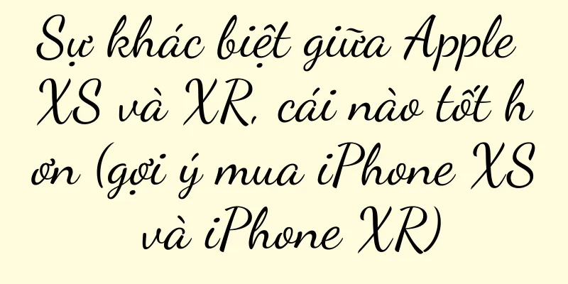 Sự khác biệt giữa Apple XS và XR, cái nào tốt hơn (gợi ý mua iPhone XS và iPhone XR)