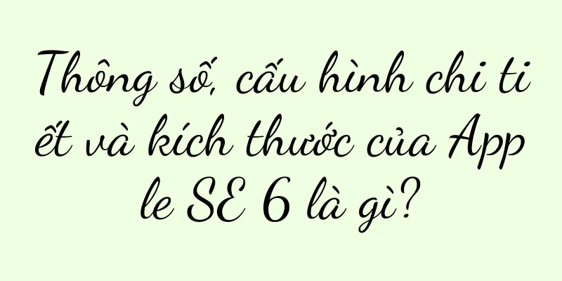 Thông số, cấu hình chi tiết và kích thước của Apple SE 6 là gì?