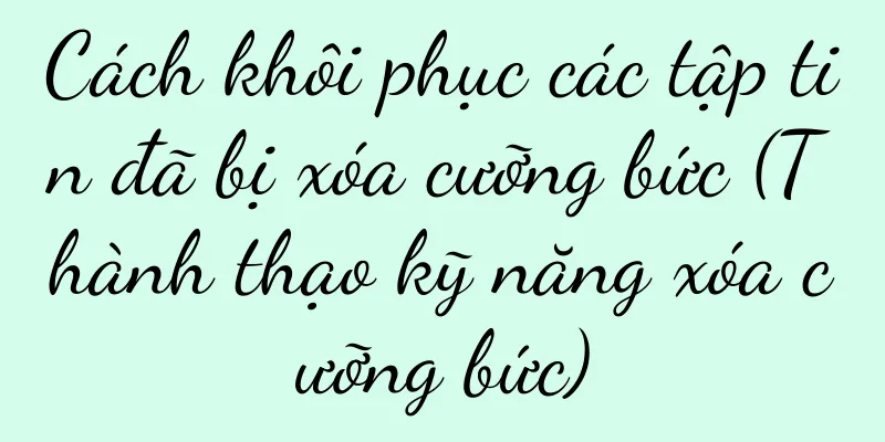 Cách khôi phục các tập tin đã bị xóa cưỡng bức (Thành thạo kỹ năng xóa cưỡng bức)