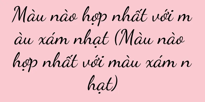 Màu nào hợp nhất với màu xám nhạt (Màu nào hợp nhất với màu xám nhạt)