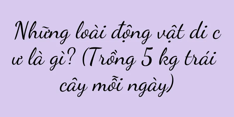 Những loài động vật di cư là gì? (Trồng 5 kg trái cây mỗi ngày)