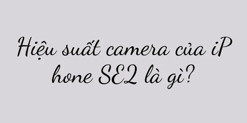Hiệu suất camera của iPhone SE2 là gì?