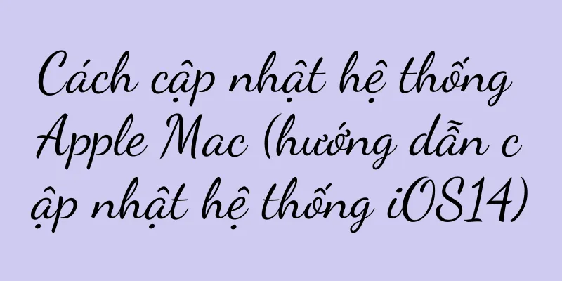 Cách cập nhật hệ thống Apple Mac (hướng dẫn cập nhật hệ thống iOS14)