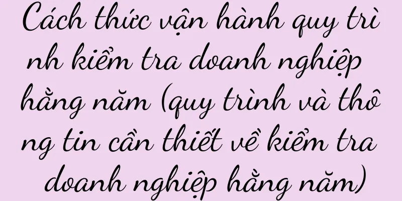 Cách thức vận hành quy trình kiểm tra doanh nghiệp hằng năm (quy trình và thông tin cần thiết về kiểm tra doanh nghiệp hằng năm)