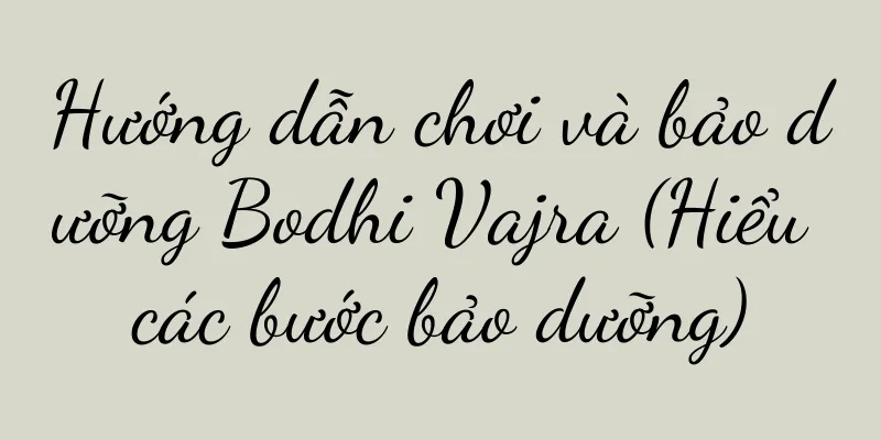 Hướng dẫn chơi và bảo dưỡng Bodhi Vajra (Hiểu các bước bảo dưỡng)