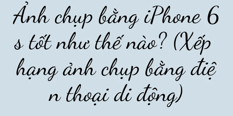 Ảnh chụp bằng iPhone 6s tốt như thế nào? (Xếp hạng ảnh chụp bằng điện thoại di động)