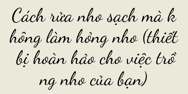 Cách rửa nho sạch mà không làm hỏng nho (thiết bị hoàn hảo cho việc trồng nho của bạn)