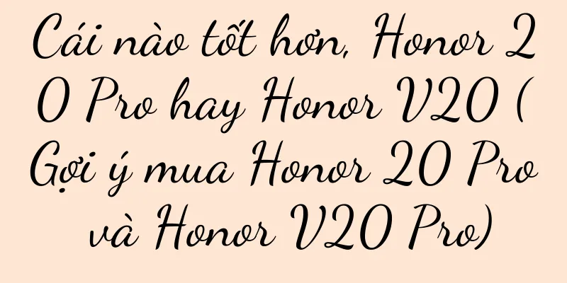 Cái nào tốt hơn, Honor 20 Pro hay Honor V20 (Gợi ý mua Honor 20 Pro và Honor V20 Pro)