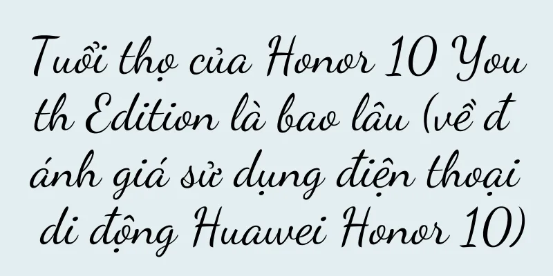 Tuổi thọ của Honor 10 Youth Edition là bao lâu (về đánh giá sử dụng điện thoại di động Huawei Honor 10)