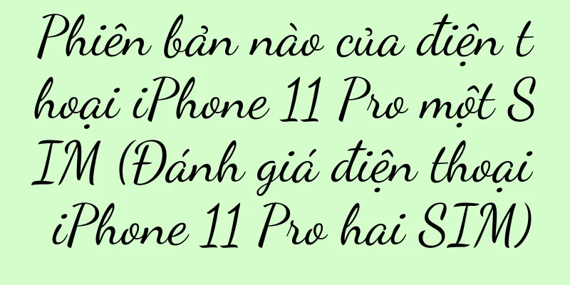 Phiên bản nào của điện thoại iPhone 11 Pro một SIM (Đánh giá điện thoại iPhone 11 Pro hai SIM)