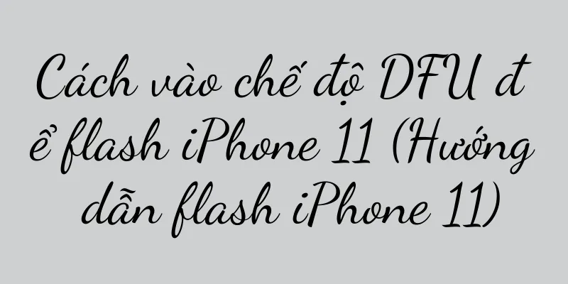 Cách vào chế độ DFU để flash iPhone 11 (Hướng dẫn flash iPhone 11)
