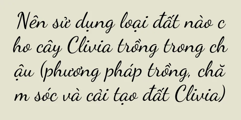Nên sử dụng loại đất nào cho cây Clivia trồng trong chậu (phương pháp trồng, chăm sóc và cải tạo đất Clivia)