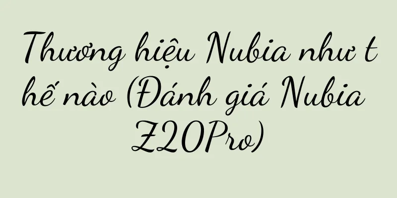 Thương hiệu Nubia như thế nào (Đánh giá Nubia Z20Pro)