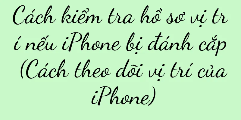 Cách kiểm tra hồ sơ vị trí nếu iPhone bị đánh cắp (Cách theo dõi vị trí của iPhone)