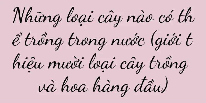 Những loại cây nào có thể trồng trong nước (giới thiệu mười loại cây trồng và hoa hàng đầu)