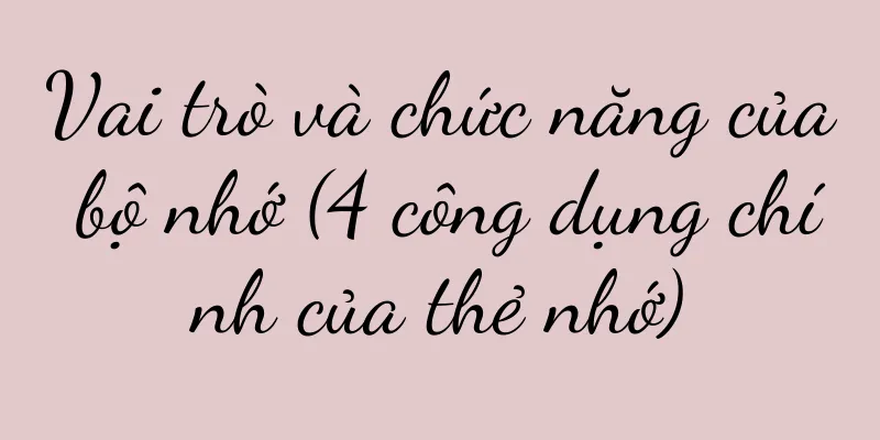 Vai trò và chức năng của bộ nhớ (4 công dụng chính của thẻ nhớ)