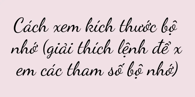 Cách xem kích thước bộ nhớ (giải thích lệnh để xem các tham số bộ nhớ)