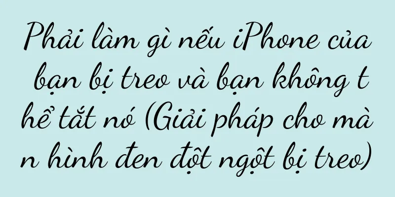 Phải làm gì nếu iPhone của bạn bị treo và bạn không thể tắt nó (Giải pháp cho màn hình đen đột ngột bị treo)