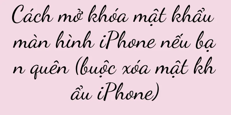 Cách mở khóa mật khẩu màn hình iPhone nếu bạn quên (buộc xóa mật khẩu iPhone)