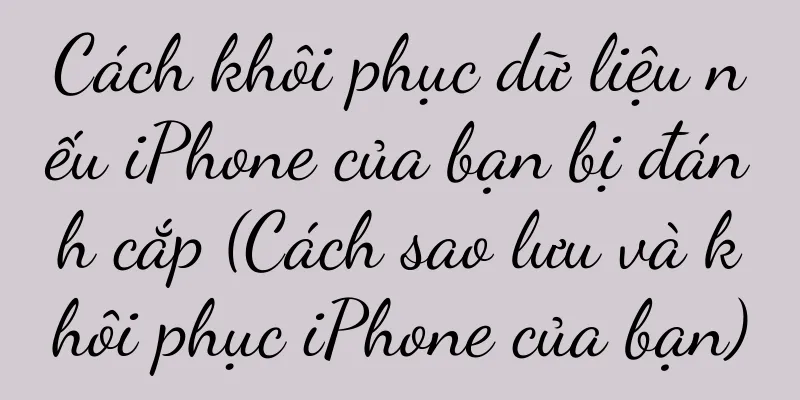 Cách khôi phục dữ liệu nếu iPhone của bạn bị đánh cắp (Cách sao lưu và khôi phục iPhone của bạn)